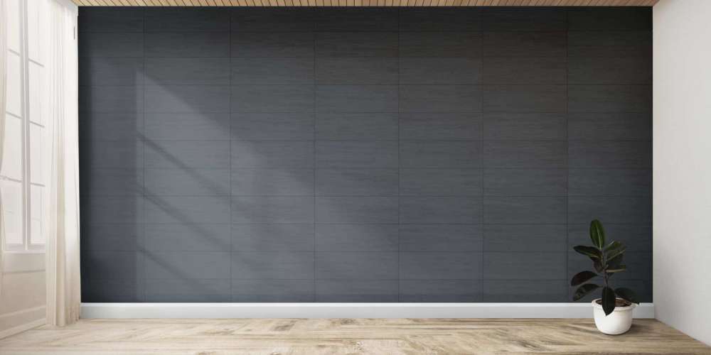 Plant against a black wall mockup